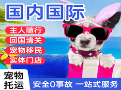 赤峰航空运输国际宠物托运 【国